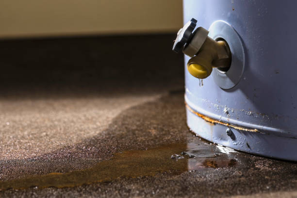 Best Water damage repair service  in Key Largo, FL