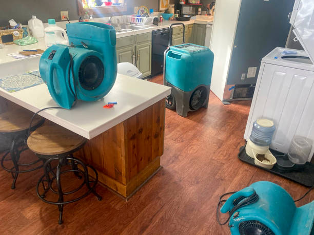 Best 24/7 water damage repair  in Key Largo, FL
