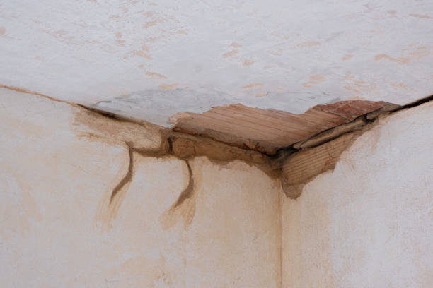 Best 24-hour water damage restoration  in Key Largo, FL