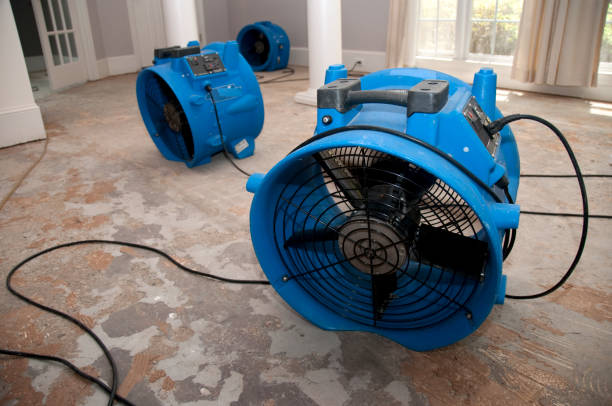 Best Water damage cleanup near me  in Key Largo, FL