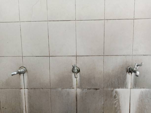 Best Mold removal after water damage  in Key Largo, FL