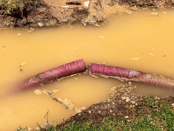 Water damage restoration process in Key Largo, FL